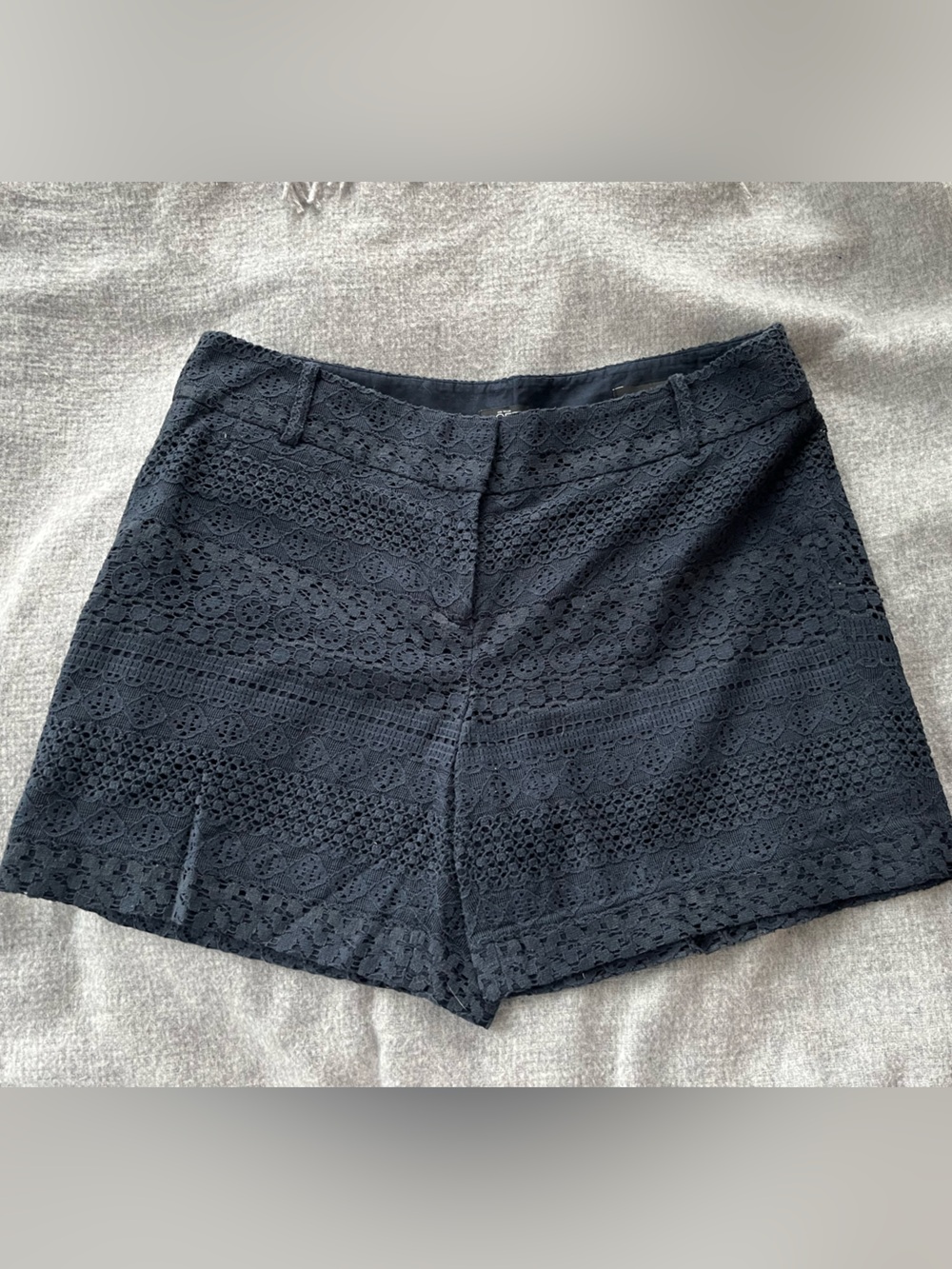 Ann Taylor LOFT Lace Navy Blue Women's Shorts - Size 8